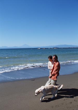 ノルウェージャン子猫が欲しいなら