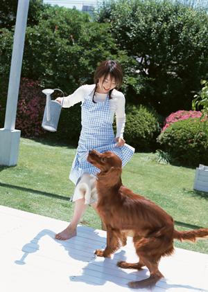 かわいらしい子猫たちと出会える店