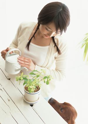 緑の森どうぶつ病院 大町病院｜遊歩道の自然に囲まれたリラックスできるペット診療所