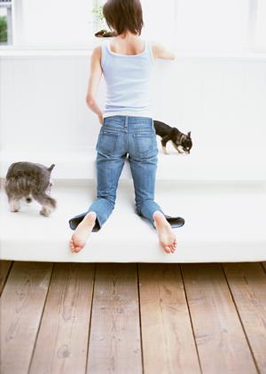 トイプードルを飼いたい人向けブリーダー