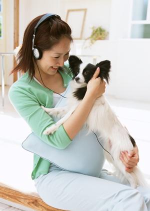 とっても可愛いビションフリーゼ